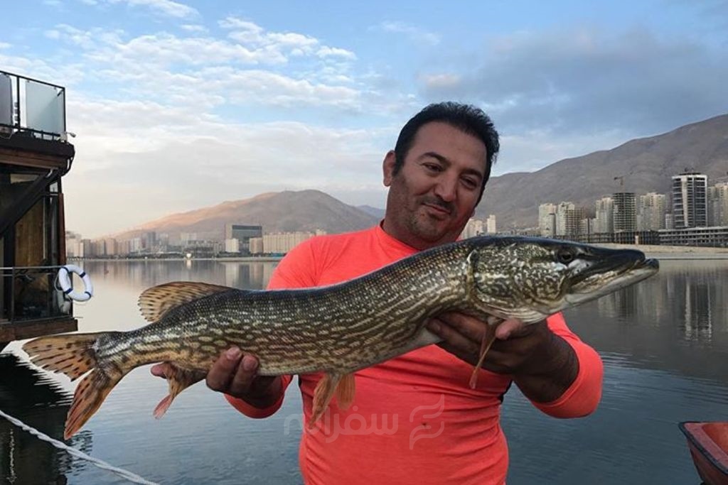 ماهیگیری در باملند تهران