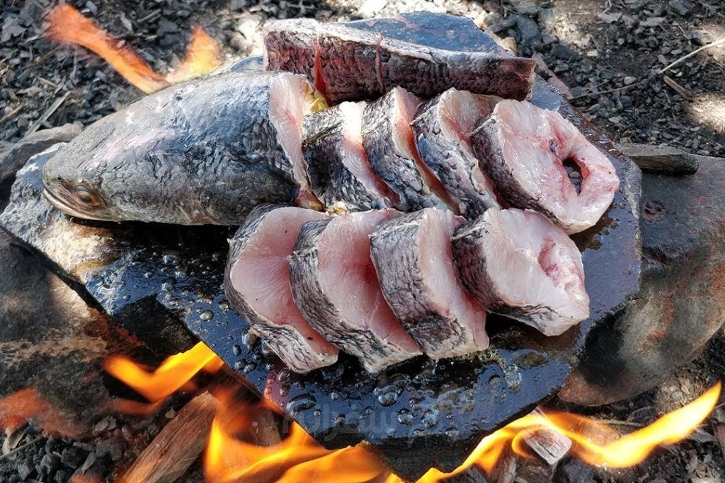 پخت ماهی در طبیعت